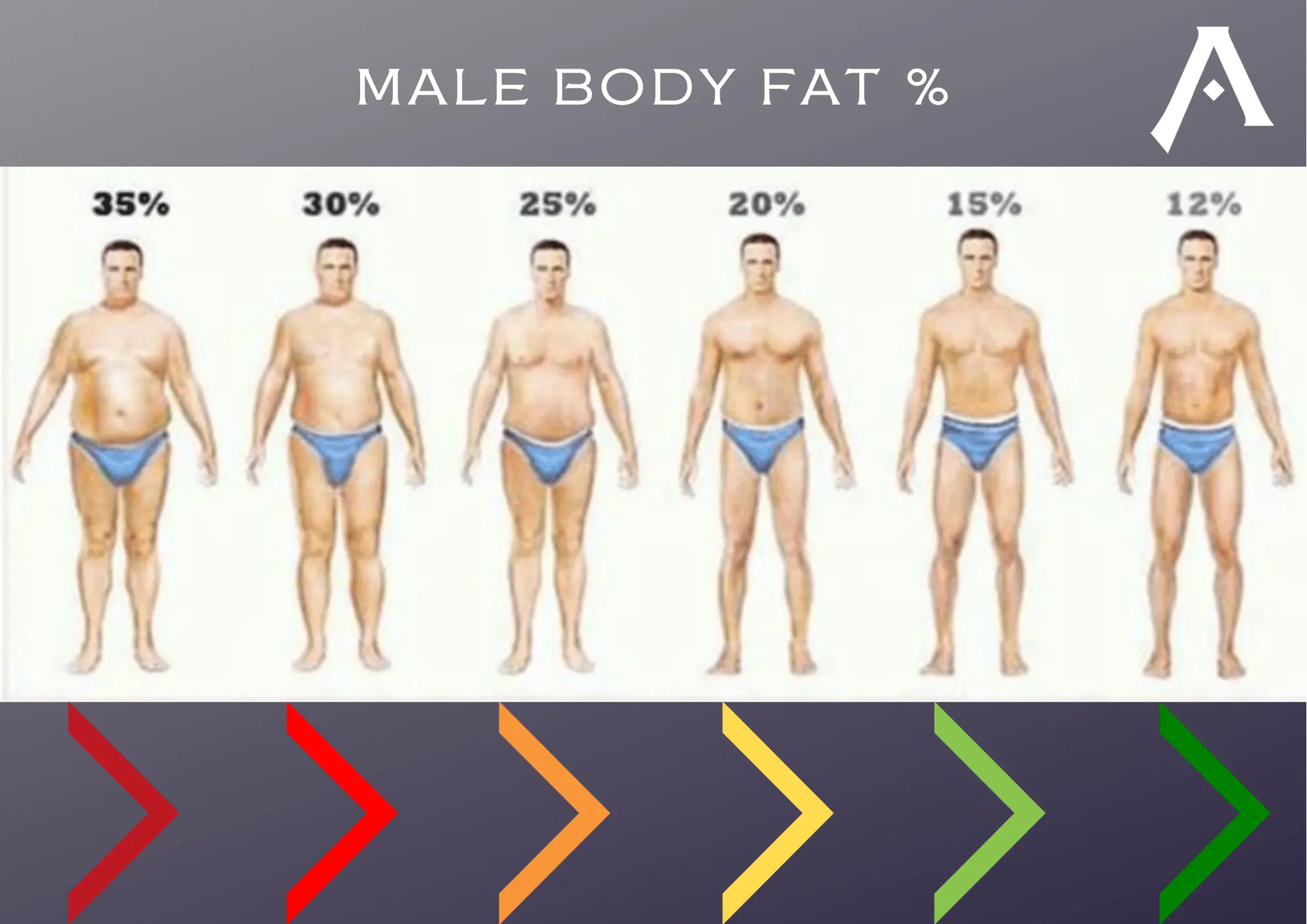 Clearance Gem MALE BODY FAT % - Andy Jamieson PT, body fat 